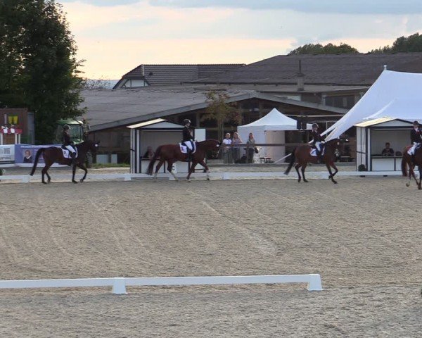 Reitturnier Leichlingen-Witzhelden 2024
