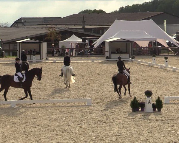 Reitturnier Leichlingen-Witzhelden 2024