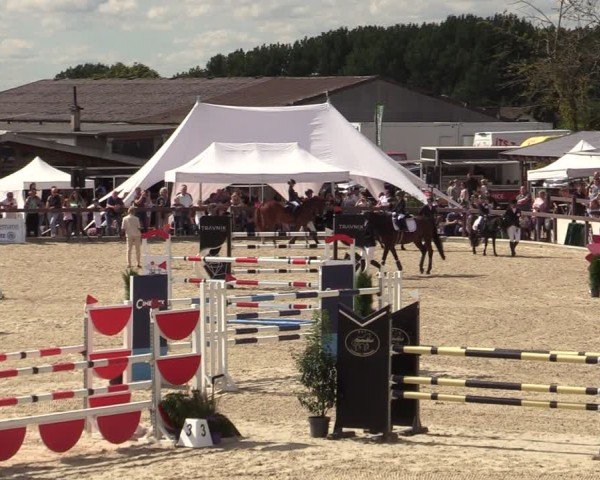 Reitturnier Leichlingen-Witzhelden 2024