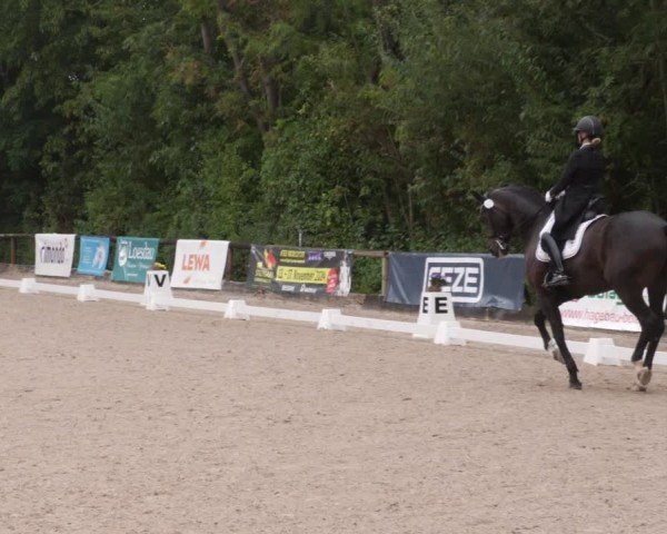 Reitturnier Leonberg 2024