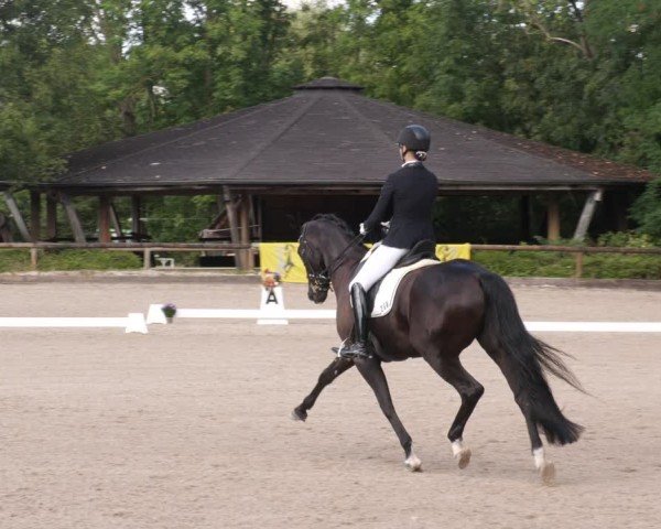 Reitturnier Leonberg 2024