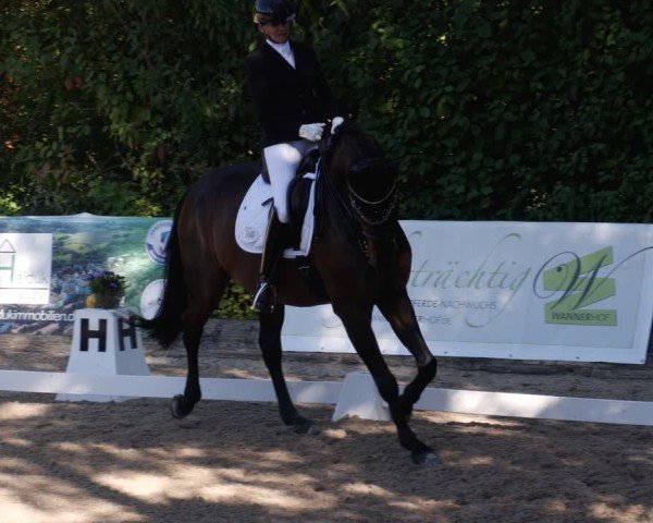 Reitturnier Leonberg 2024