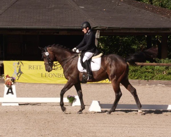 Reitturnier Leonberg 2024