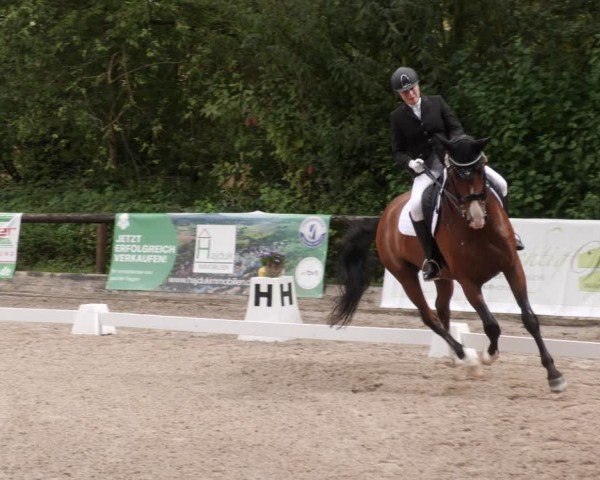 Reitturnier Leonberg 2024