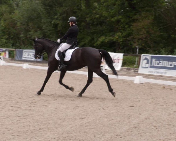 Reitturnier Leonberg 2024