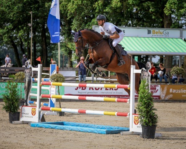 broodmare Casey Fm (Oldenburg show jumper, 2018, from Casallco)