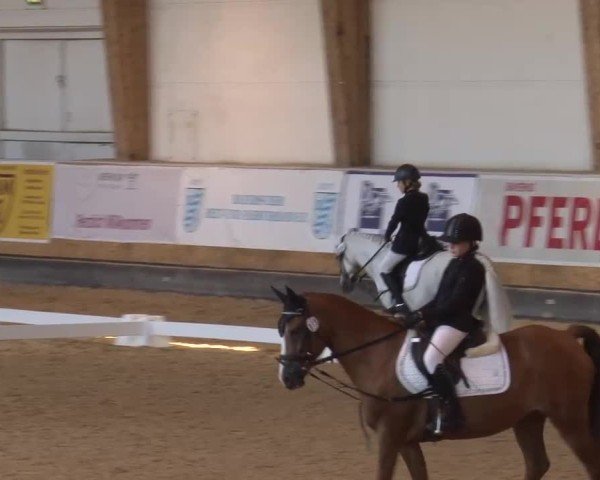 Reitturnier München-Riem/Obb. 2024