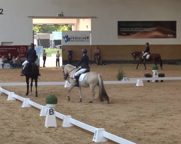 Reitturnier München-Riem/Obb. 2024