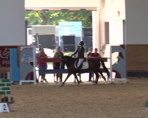 Reitturnier München-Riem/Obb. 2024