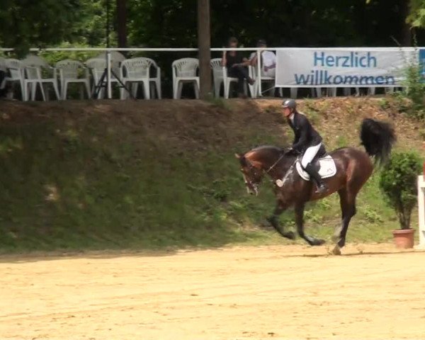 Sommerturnier Dülken-Viersen 2013