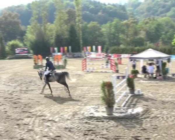 Reitturnier Tillmitsch 2024