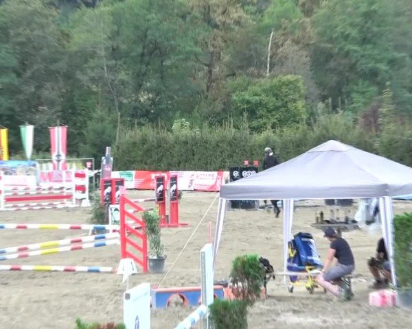Reitturnier Tillmitsch 2024