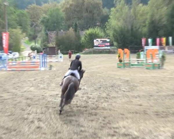 Reitturnier Tillmitsch 2024