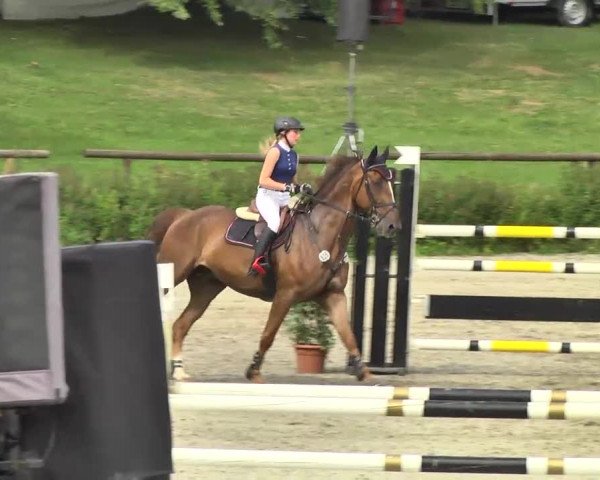 Landeschampionat Baden-Württemberg 2013