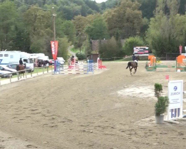 Reitturnier Tillmitsch 2024