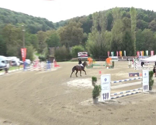 Reitturnier Tillmitsch 2024