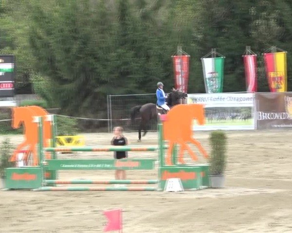 Reitturnier Tillmitsch 2024