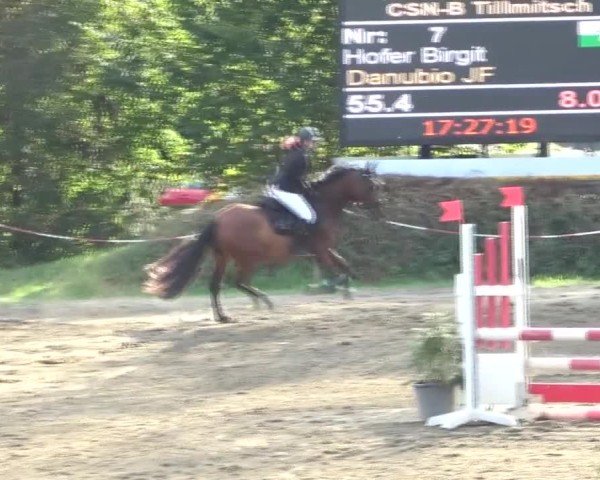 Reitturnier Tillmitsch 2024