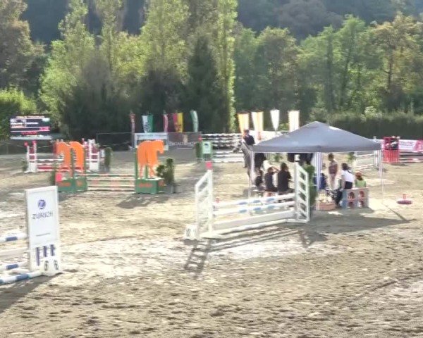 Reitturnier Tillmitsch 2024