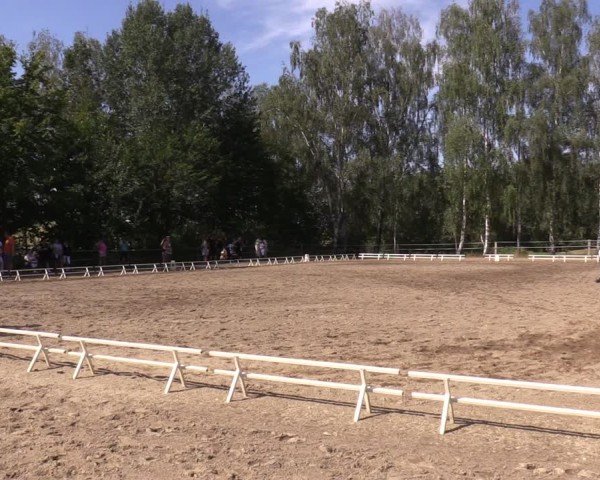 Reitturnier Lgl.-Oberhain, B95 2024