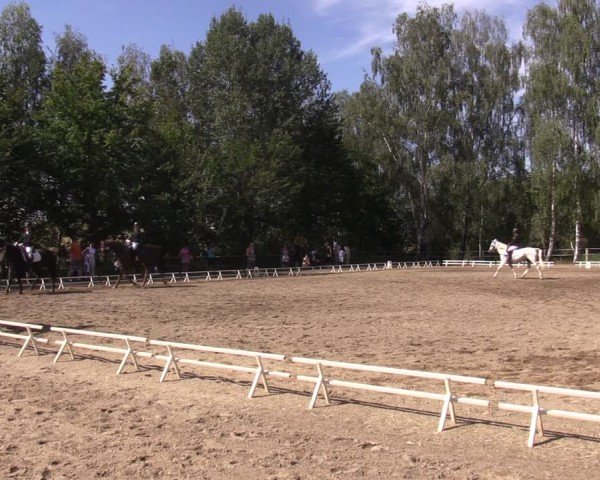 Reitturnier Lgl.-Oberhain, B95 2024
