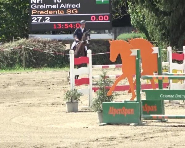 Reitturnier Tillmitsch 2024