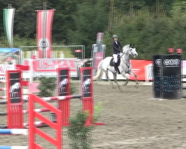 Reitturnier Tillmitsch 2024