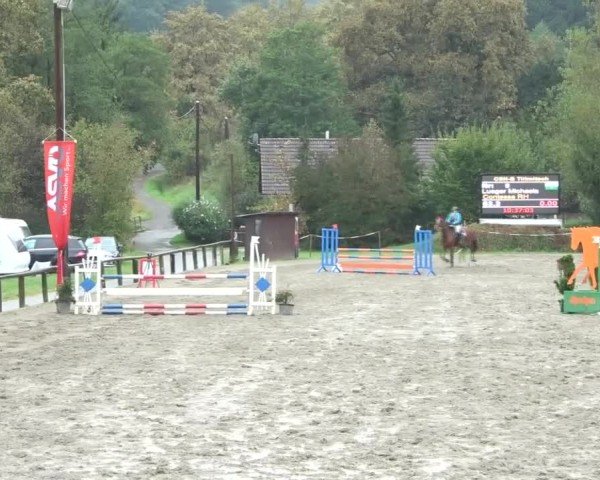 Reitturnier Tillmitsch 2024