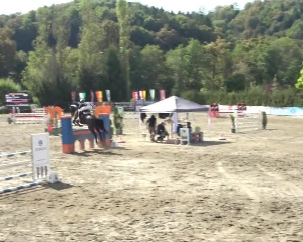 Reitturnier Tillmitsch 2024