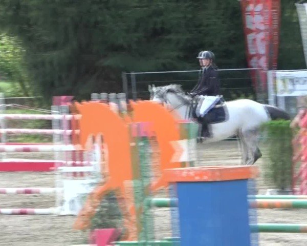 Reitturnier Tillmitsch 2024