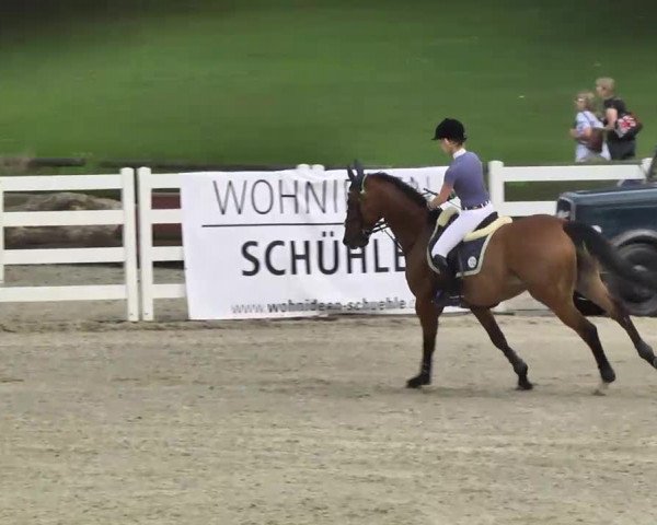 Landeschampionat Baden-Württemberg 2013