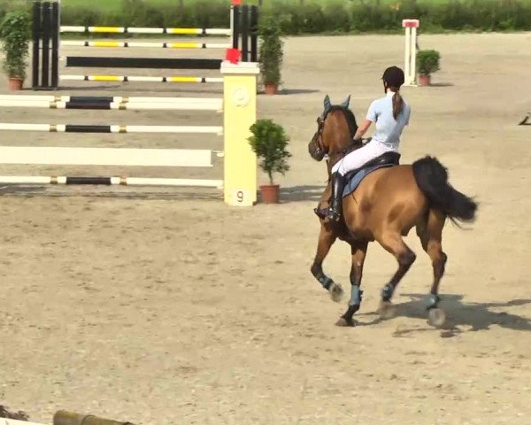 Landeschampionat Baden-Württemberg 2013