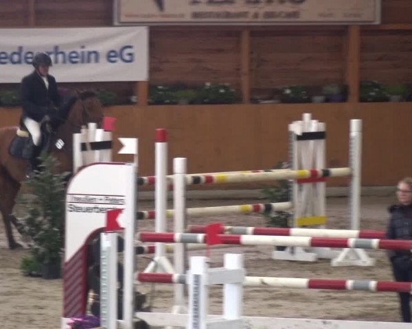 Springturnier Xanten - Reitanlage Miss 2021