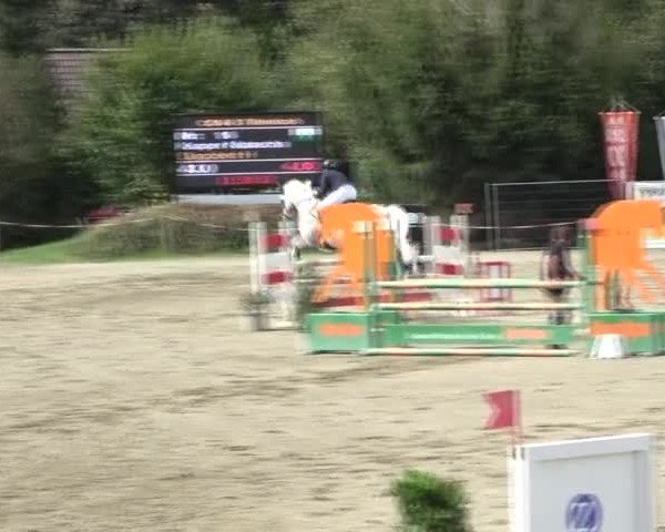 Reitturnier Tillmitsch 2024