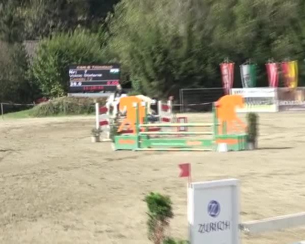 Reitturnier Tillmitsch 2024