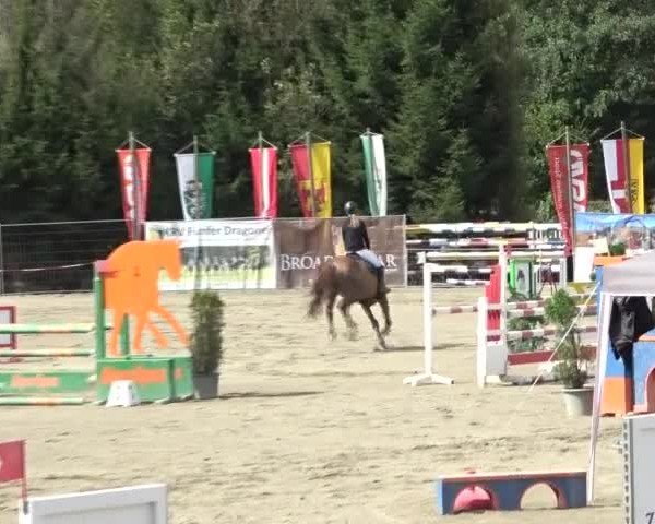 Reitturnier Tillmitsch 2024