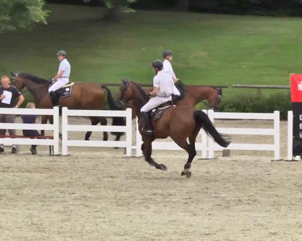 Landeschampionat Baden-Württemberg 2013