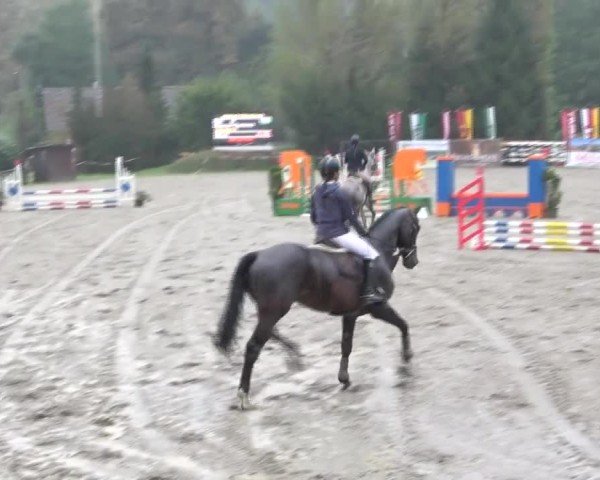 Reitturnier Tillmitsch 2024