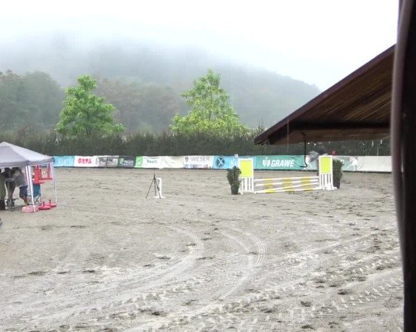 Reitturnier Tillmitsch 2024