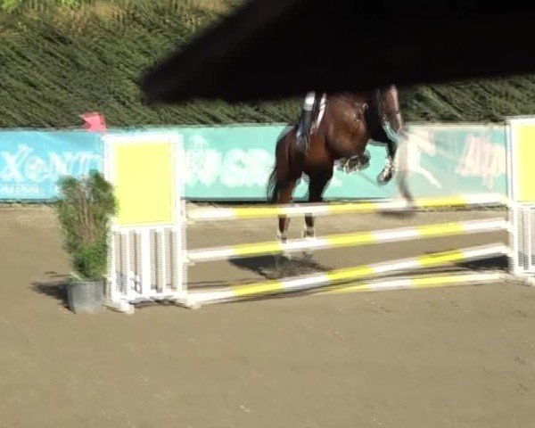 Reitturnier Tillmitsch 2024