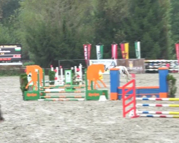 Reitturnier Tillmitsch 2024