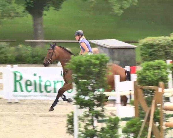 Landeschampionat Baden-Württemberg 2013