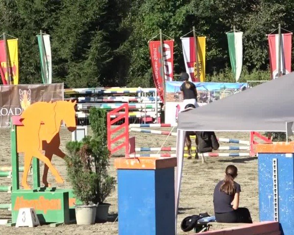 Reitturnier Tillmitsch 2024