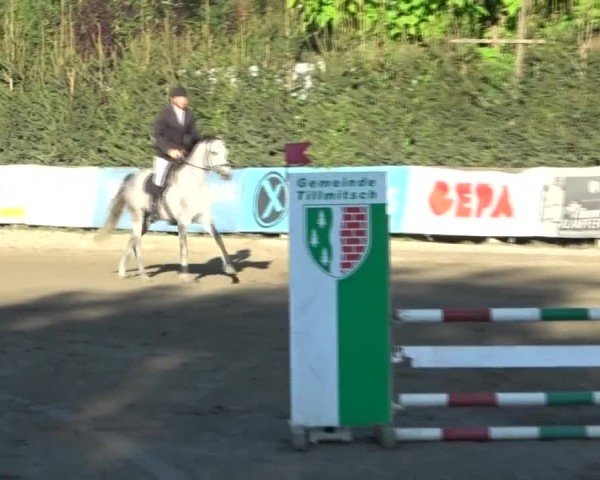 Reitturnier Tillmitsch 2024