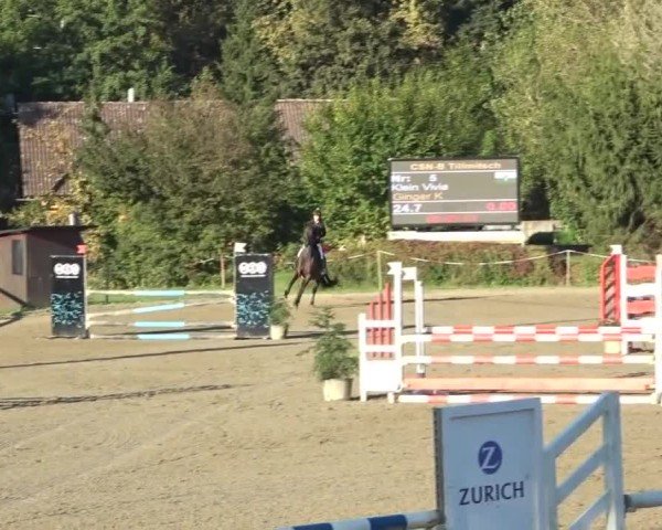 Reitturnier Tillmitsch 2024