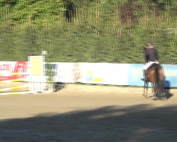 Reitturnier Tillmitsch 2024