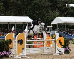 jumper DIA CARA (Hanoverian, 2019, from Diaron OLD)