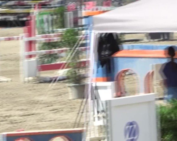 Reitturnier Tillmitsch 2024