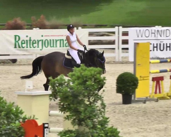 Landeschampionat Baden-Württemberg 2013