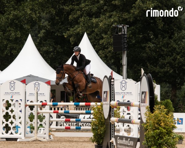 jumper MALIBU 157 (Holsteiner, 2019, from Million Dollar)